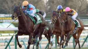 [競馬予想] NHKマイルカップ、2年連続優勝の桜花賞組が今年も！